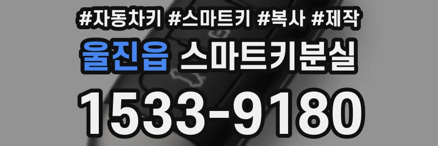 울진읍 스마트키분실