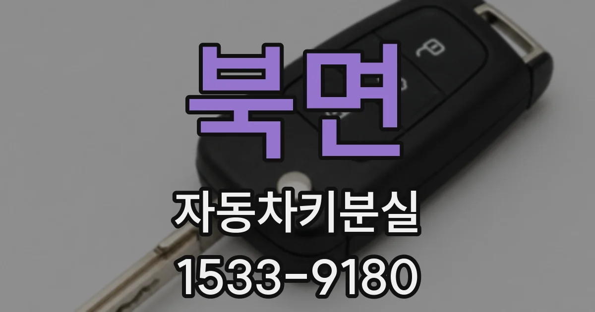 북면 자동차키분실
