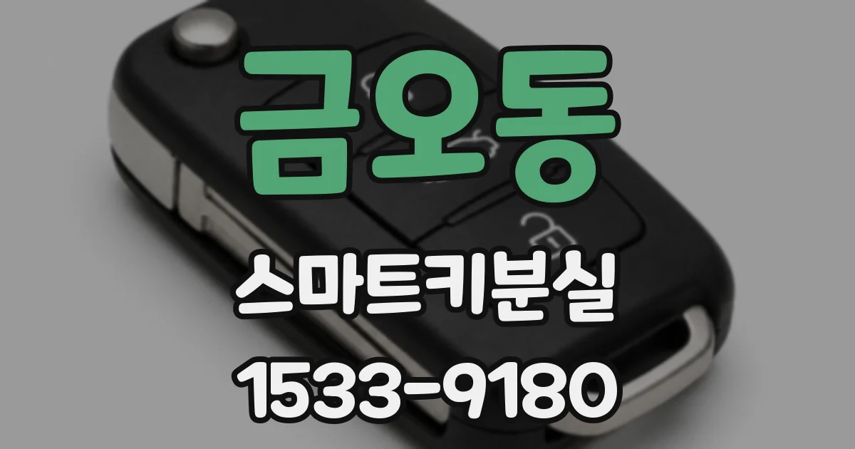 금오동 스마트키분실