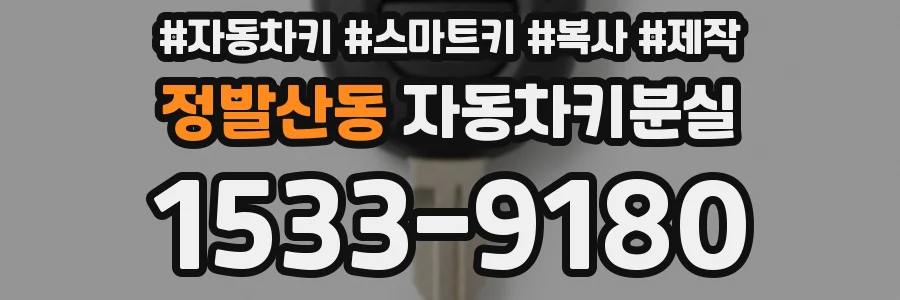 정발산동 자동차키분실