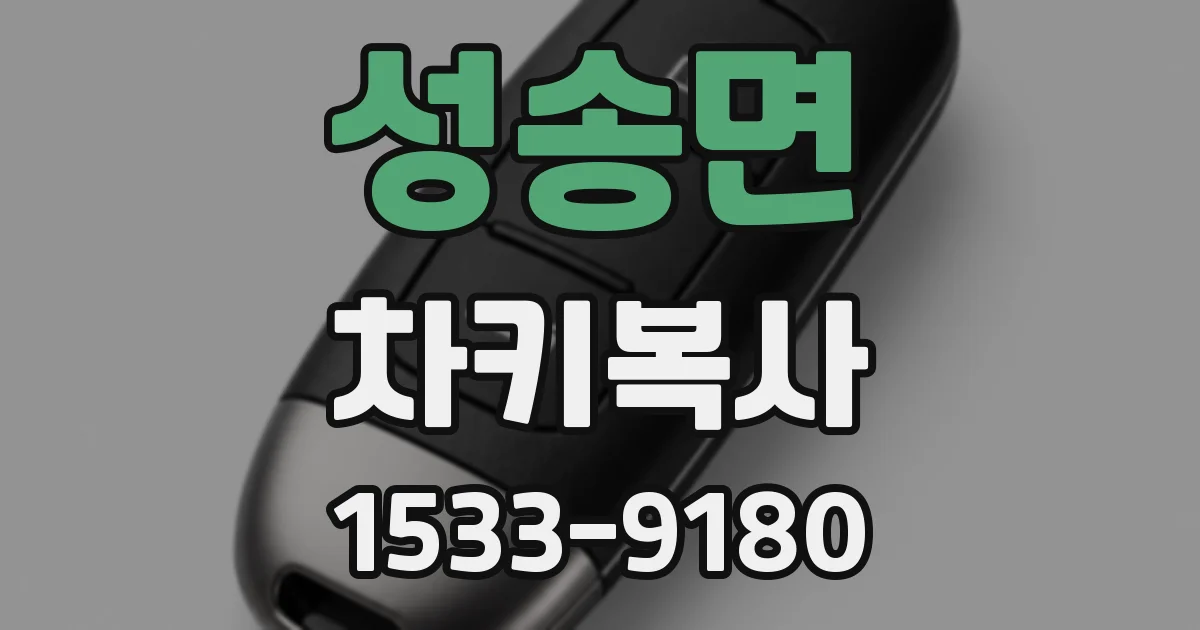 성송면 차키복사