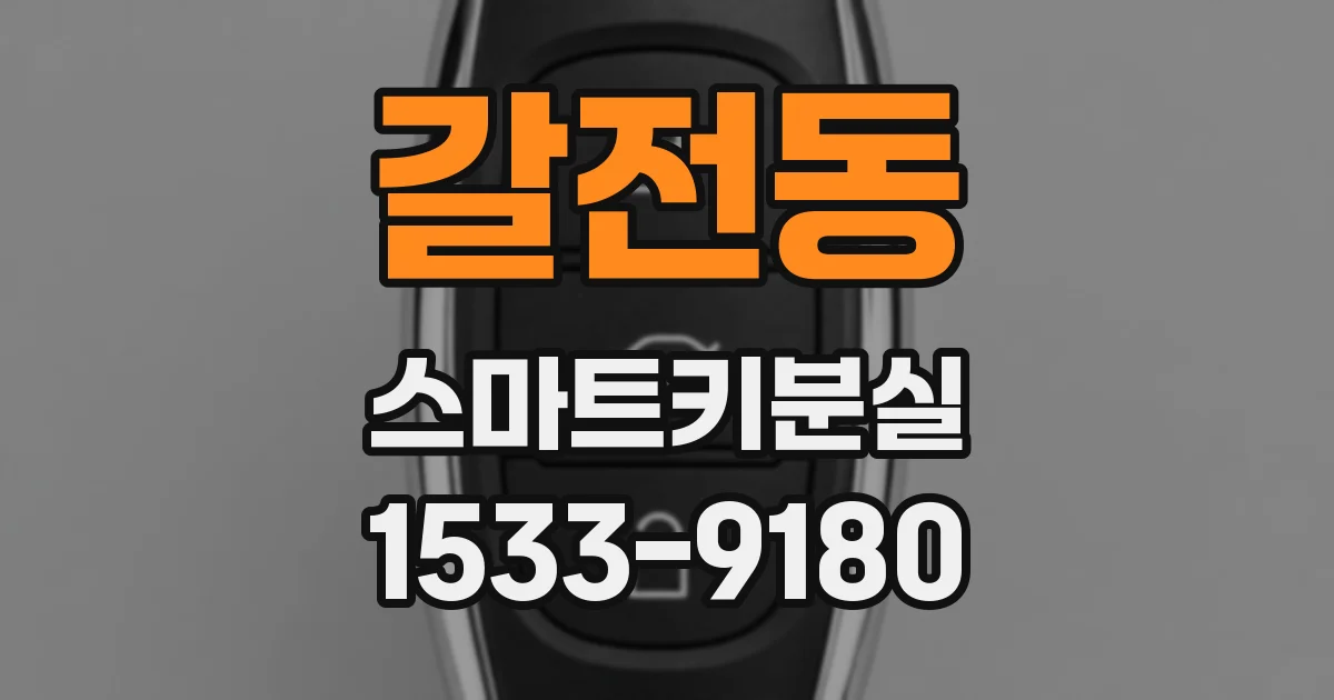 갈전동 스마트키분실