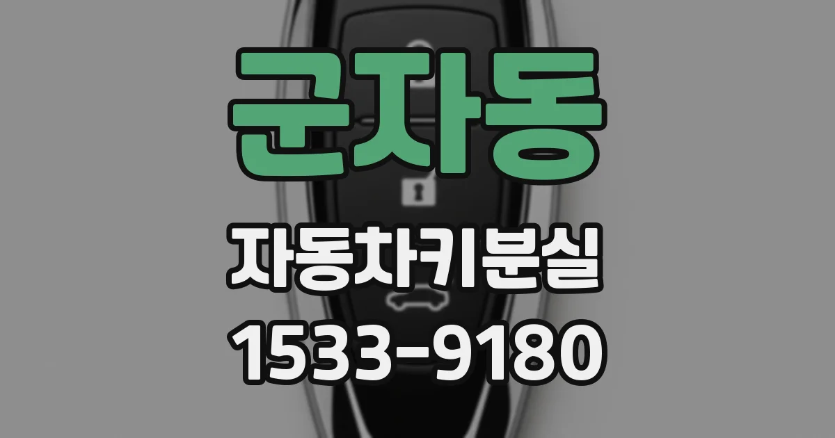 군자동 자동차키분실