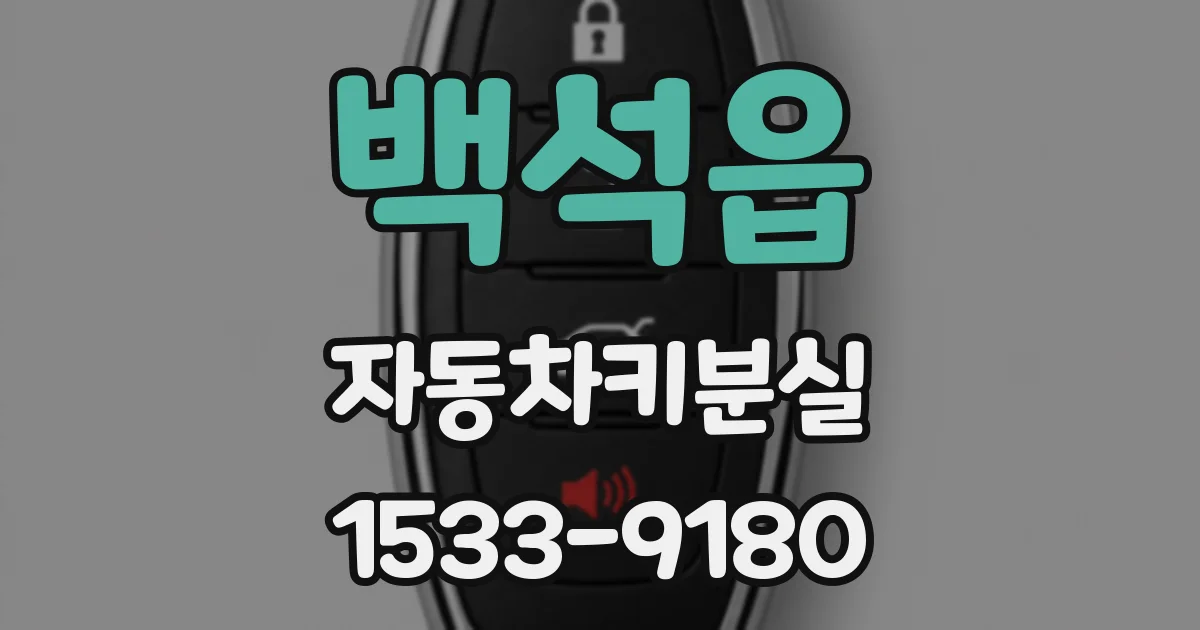 백석읍 자동차키분실