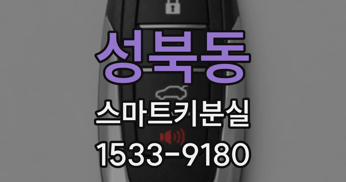 성북동 스마트키분실