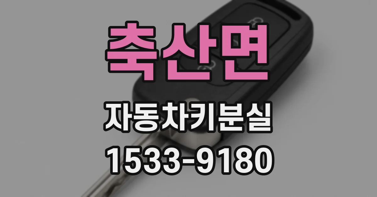 축산면 자동차키분실
