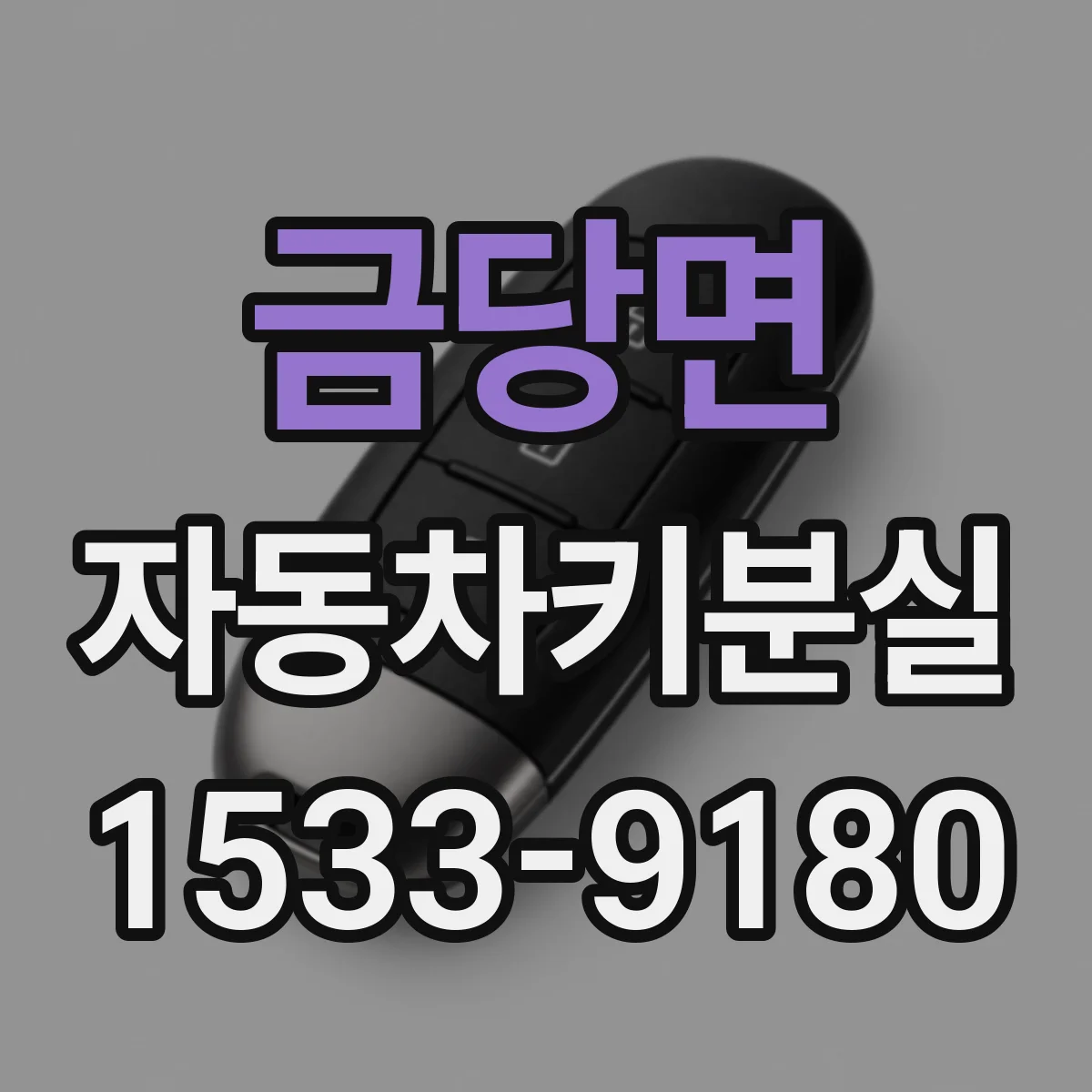 금당면 자동차키분실