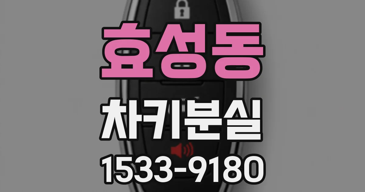 효성동 차키분실