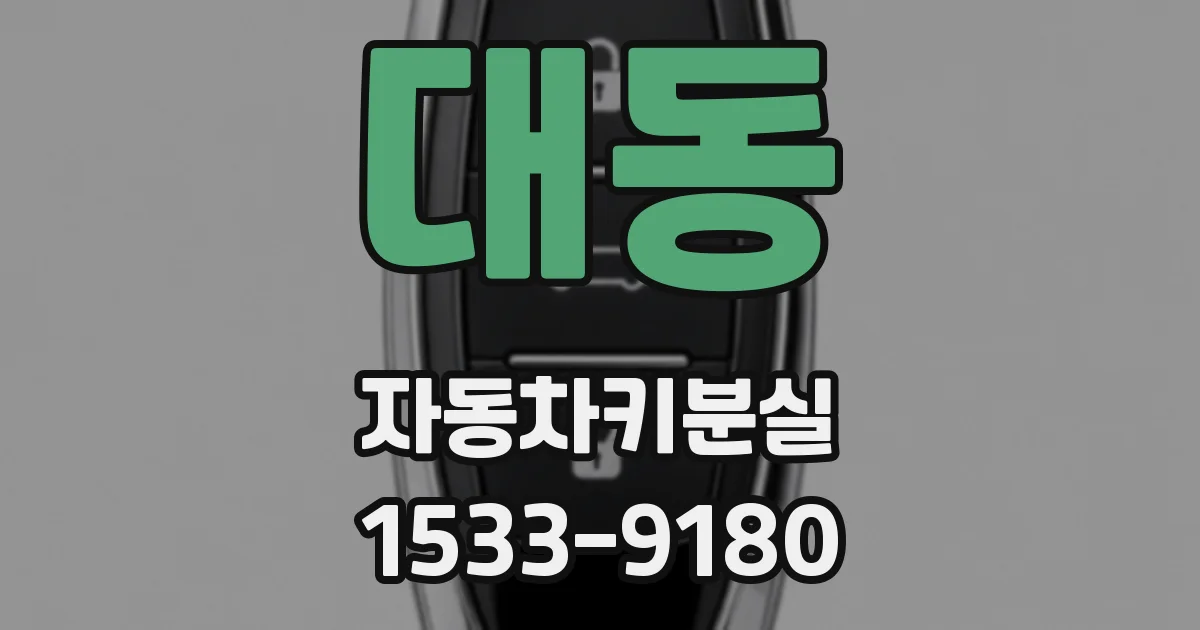 대동 자동차키분실