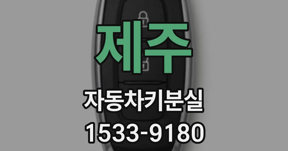 제주 자동차키분실