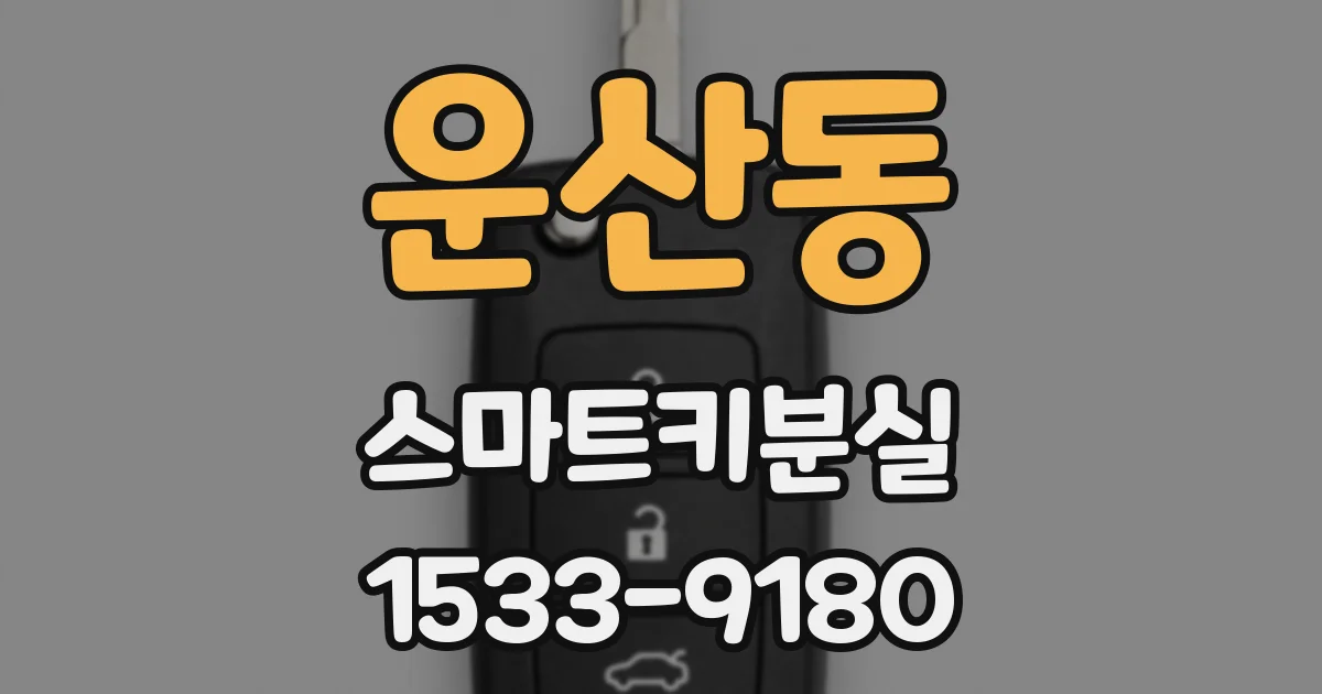운산동 스마트키분실