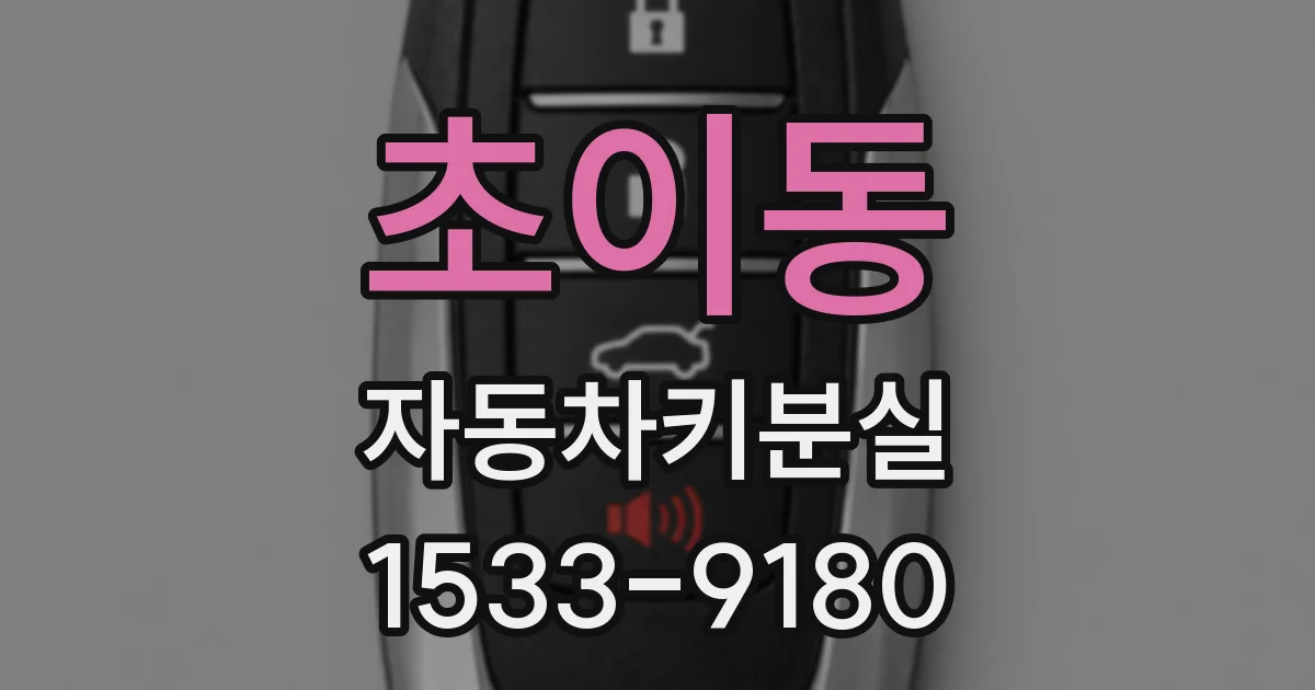 초이동 자동차키분실