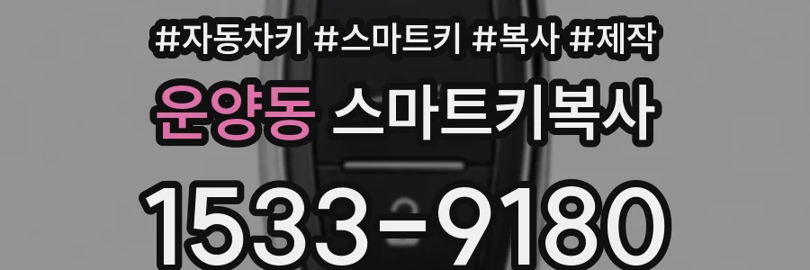 운양동 스마트키복사