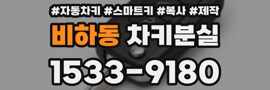 비하동 차키분실