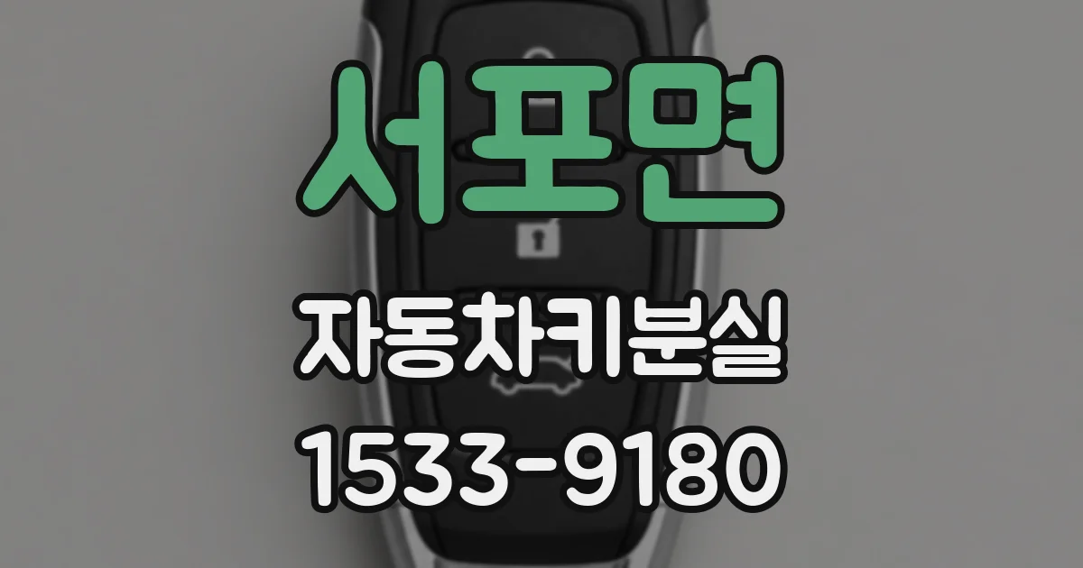 서포면 자동차키분실