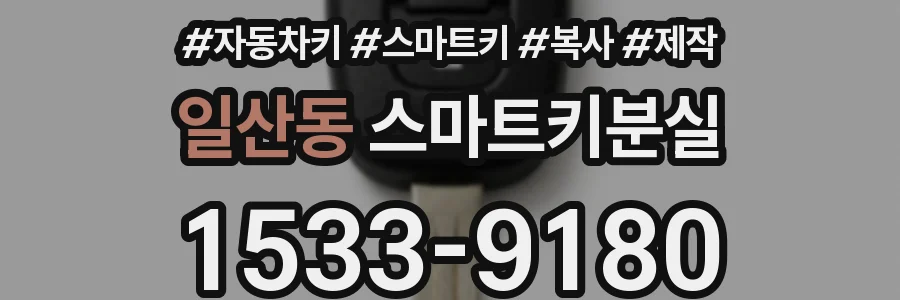 일산동 스마트키분실