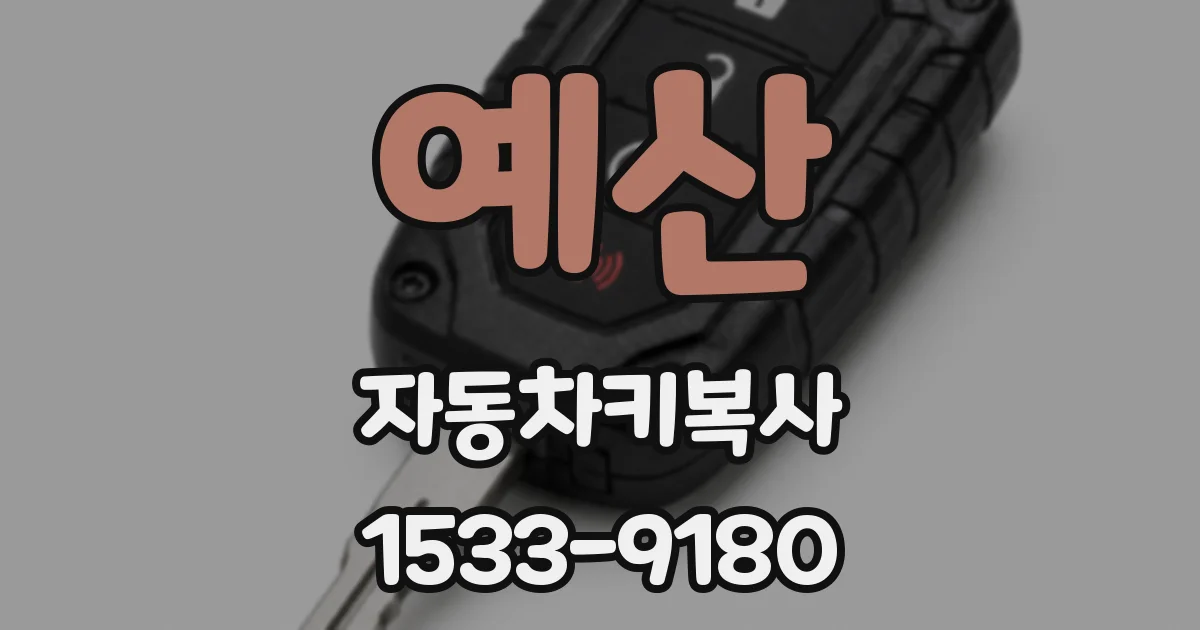 예산 자동차키복사