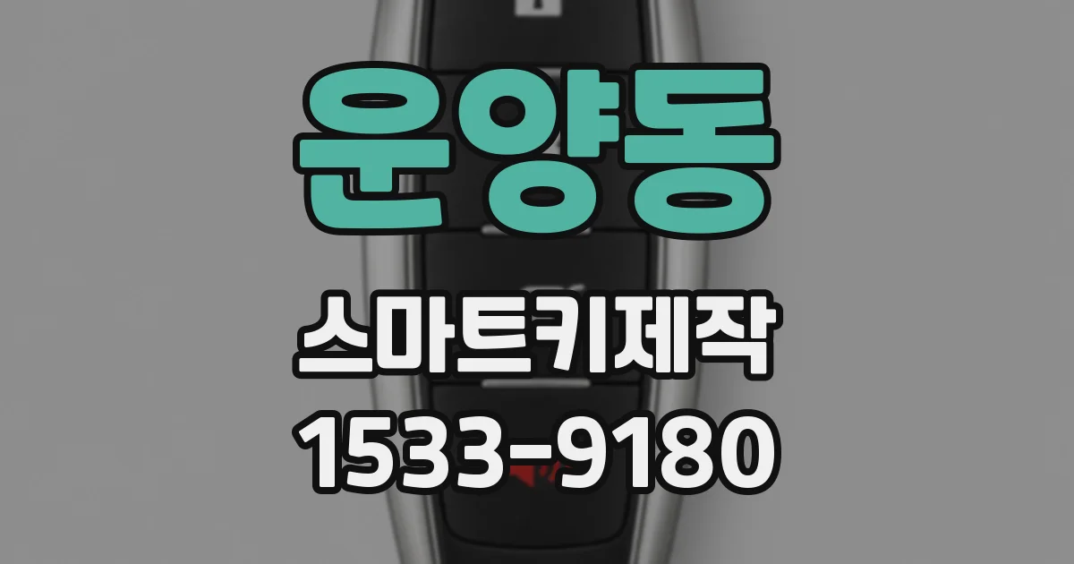 운양동 스마트키제작