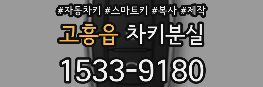 고흥읍 차키분실