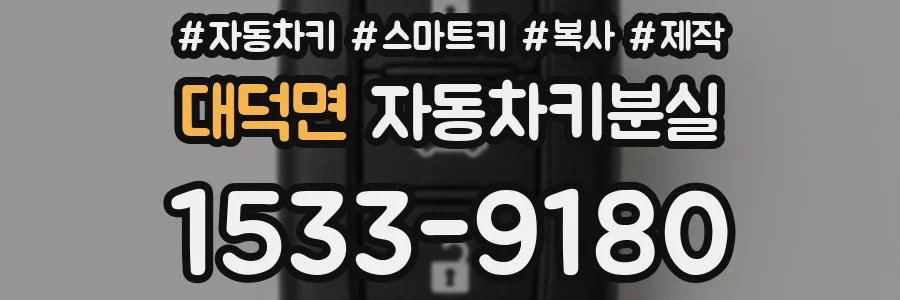 대덕면 자동차키분실