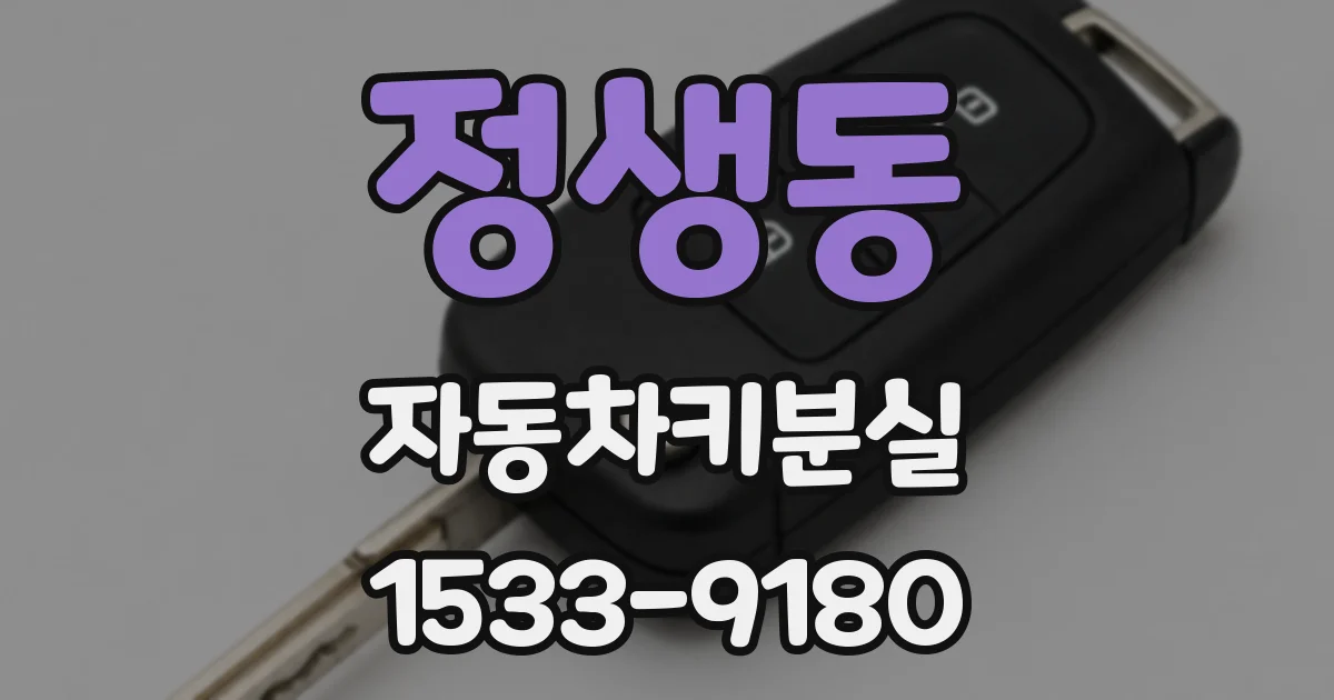 정생동 자동차키분실