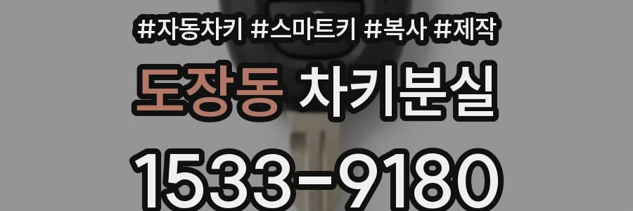 도장동 차키분실