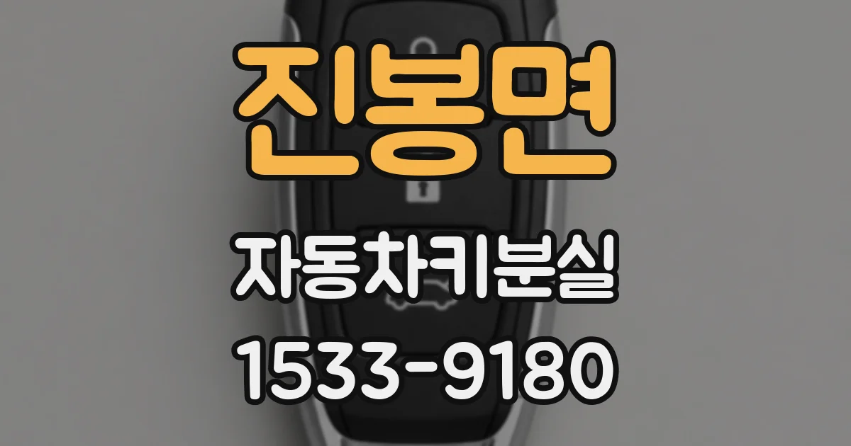 진봉면 자동차키분실