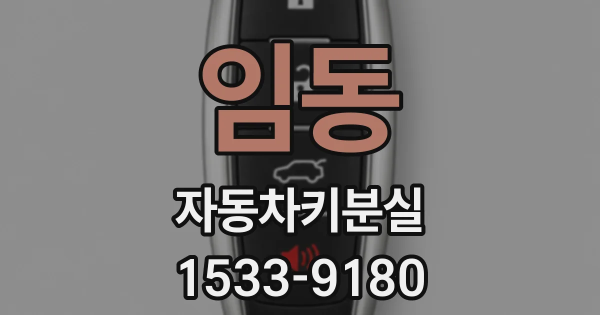 임동 자동차키분실