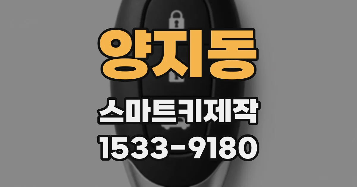 양지동 스마트키제작
