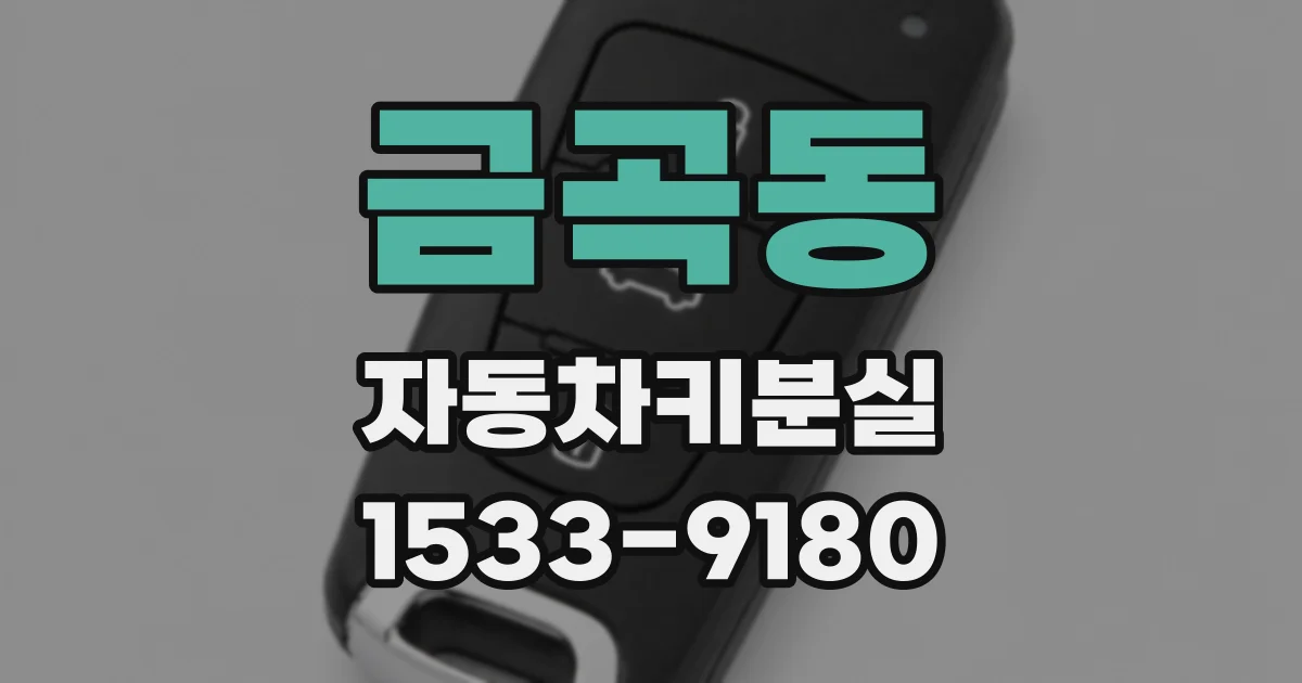 금곡동 자동차키분실