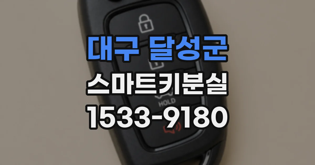 대구 달성군 스마트키분실