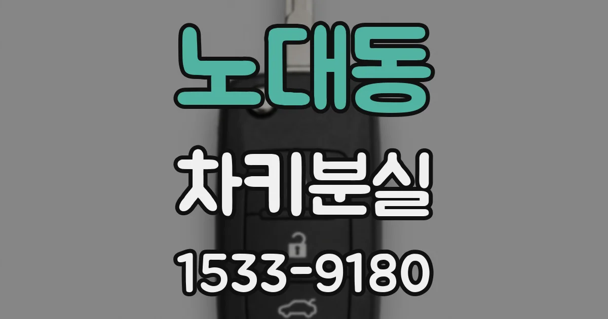 노대동 차키분실