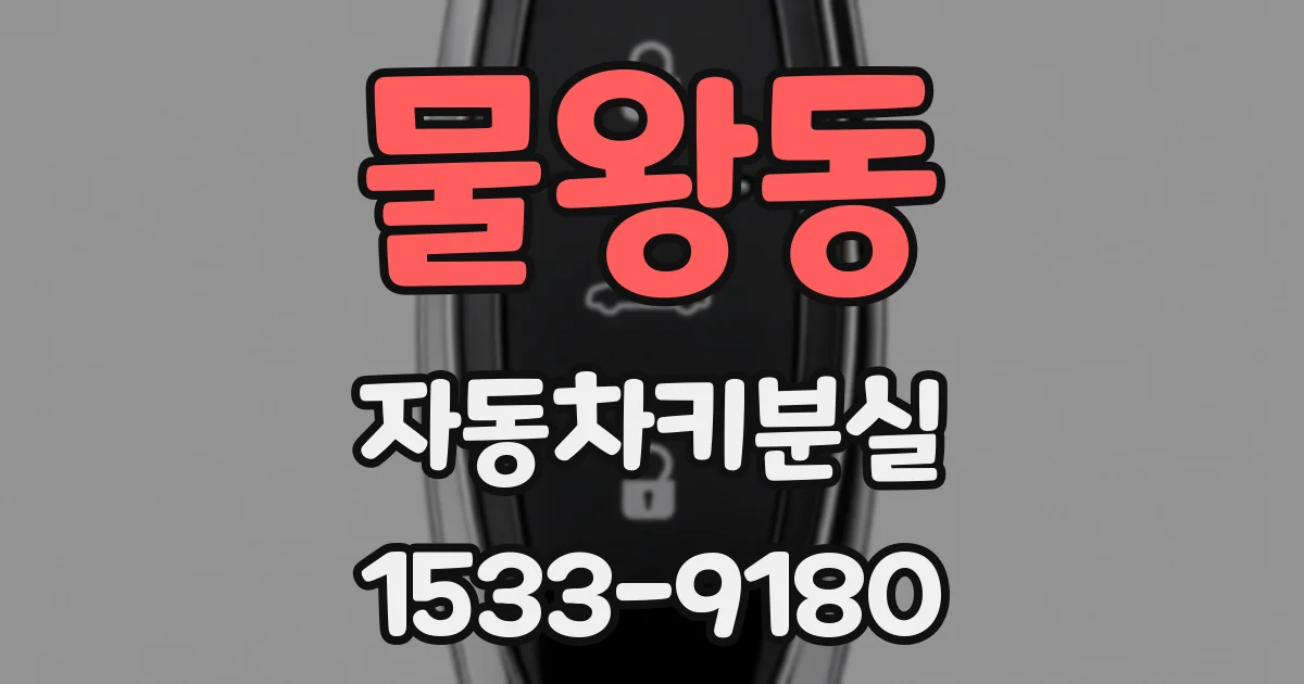 물왕동 자동차키분실