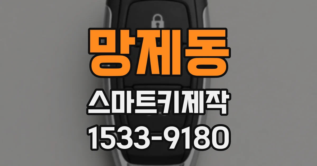 망제동 스마트키제작