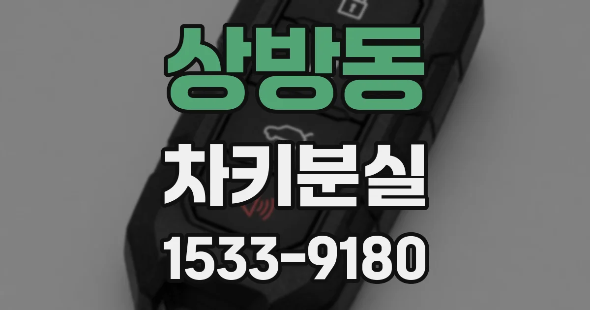 상방동 차키분실