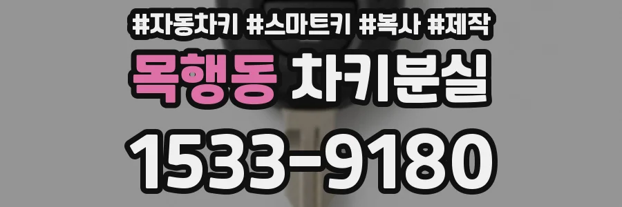 목행동 차키분실