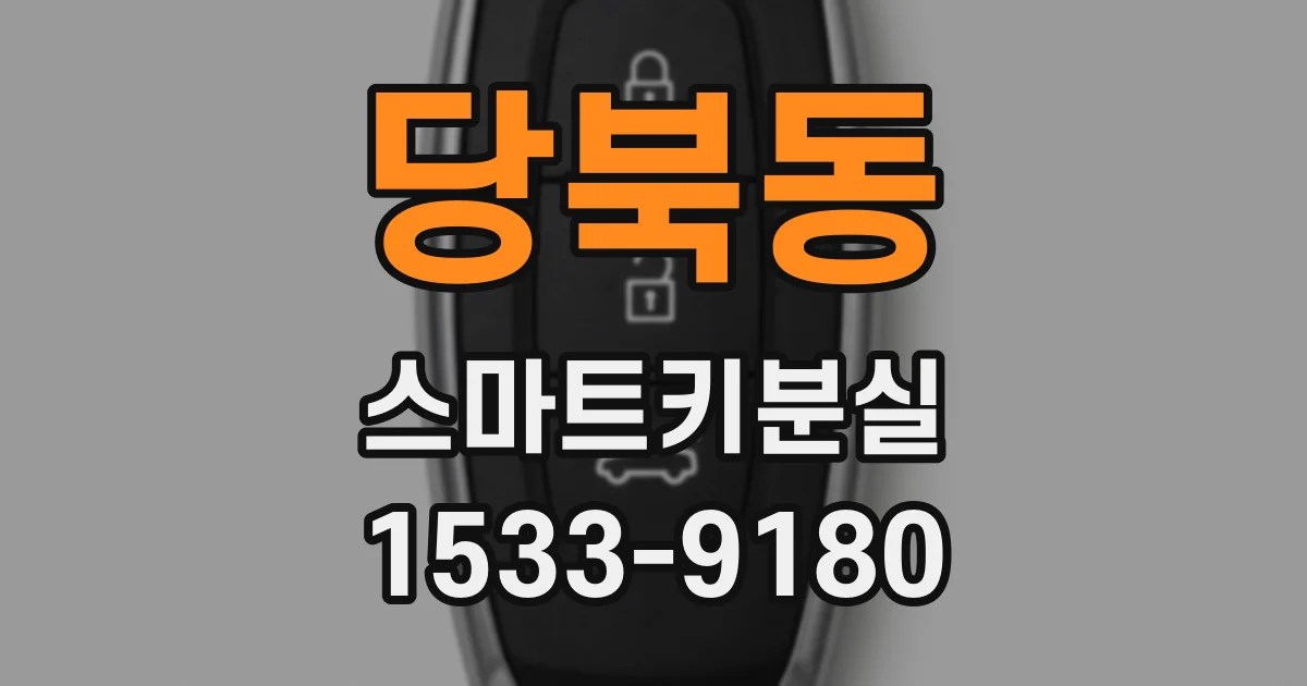 당북동 스마트키분실