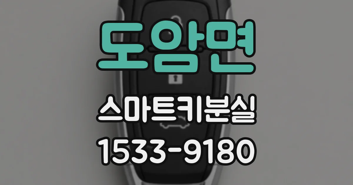 도암면 스마트키분실