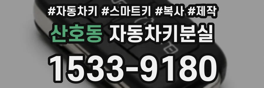 산호동 자동차키분실