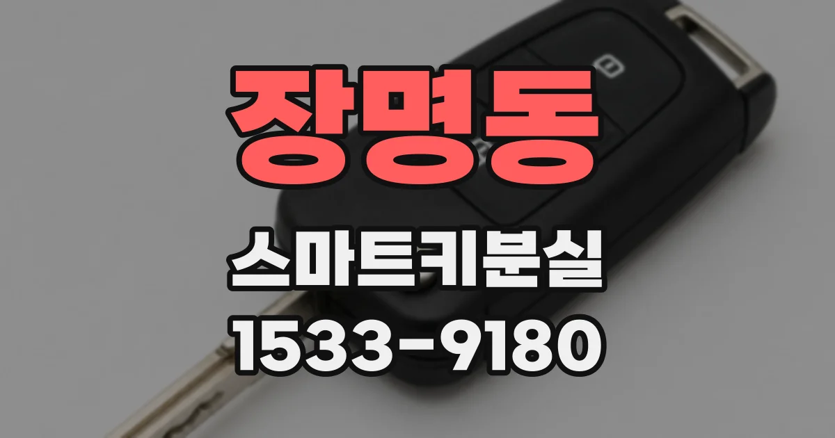 장명동 스마트키분실