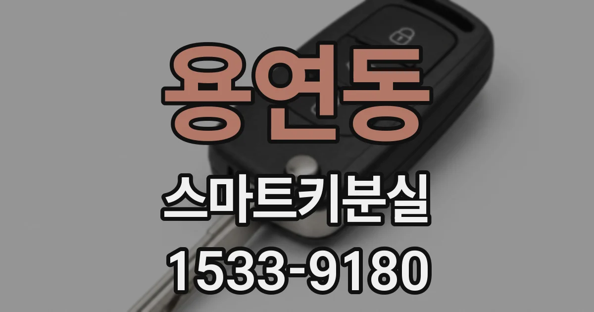 용연동 스마트키분실