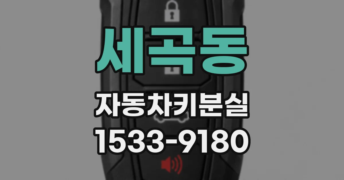 세곡동 자동차키분실