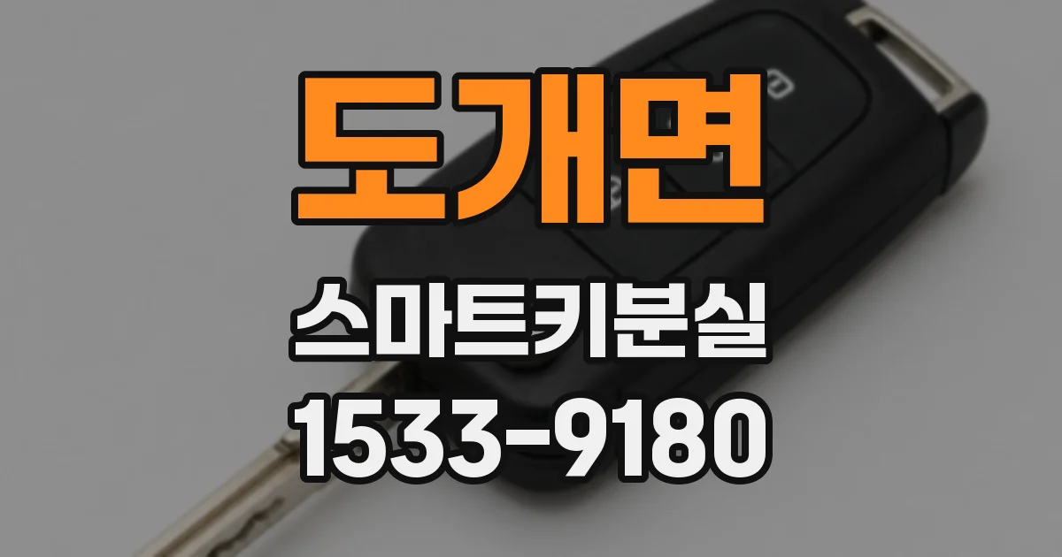 도개면 스마트키분실
