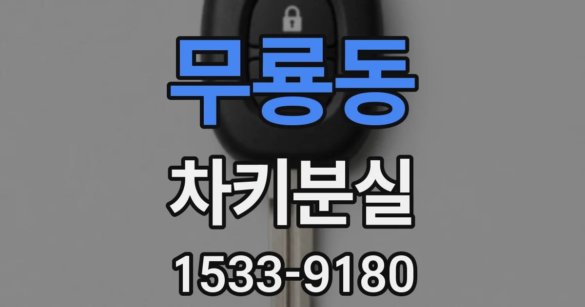 무룡동 차키분실