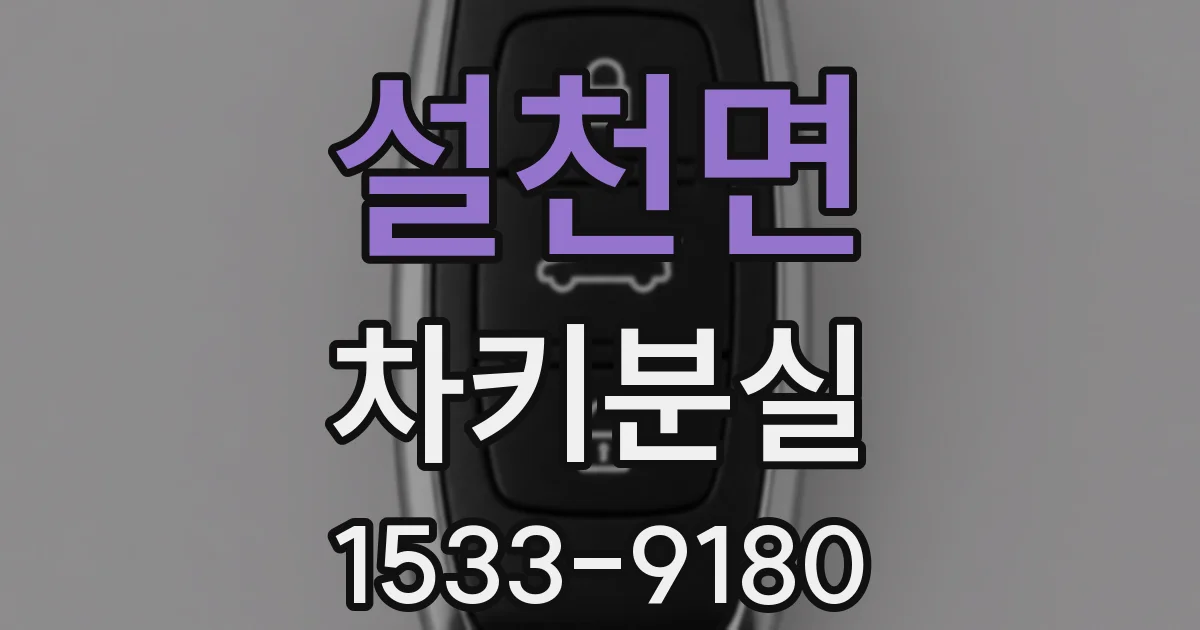 설천면 차키분실
