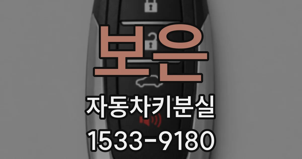 보은 자동차키분실