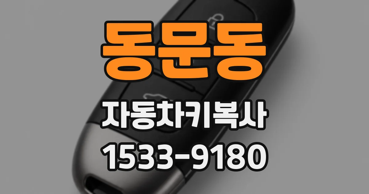 동문동 자동차키복사
