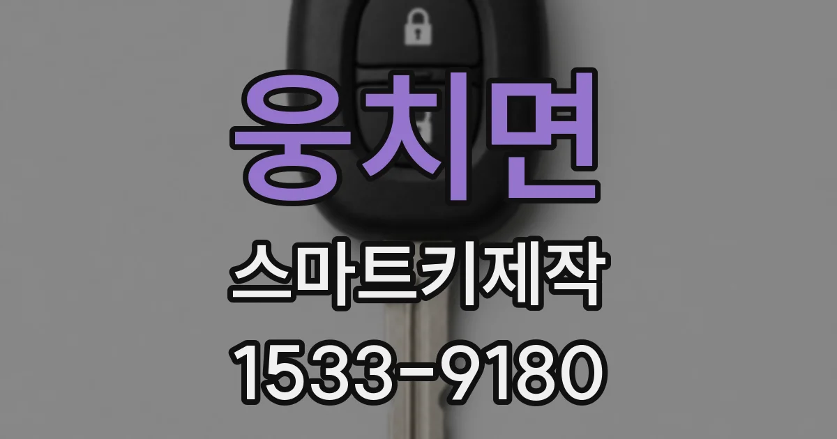 웅치면 스마트키제작