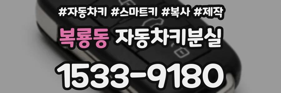 복룡동 자동차키분실