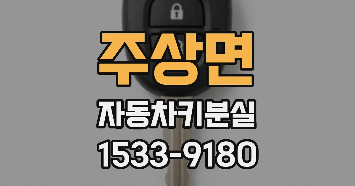 주상면 자동차키분실